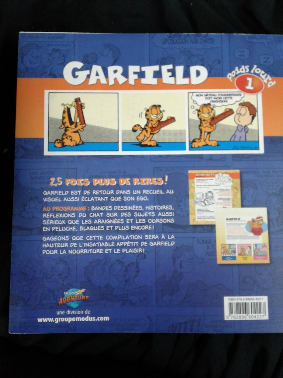 Garfield poids lourd 1