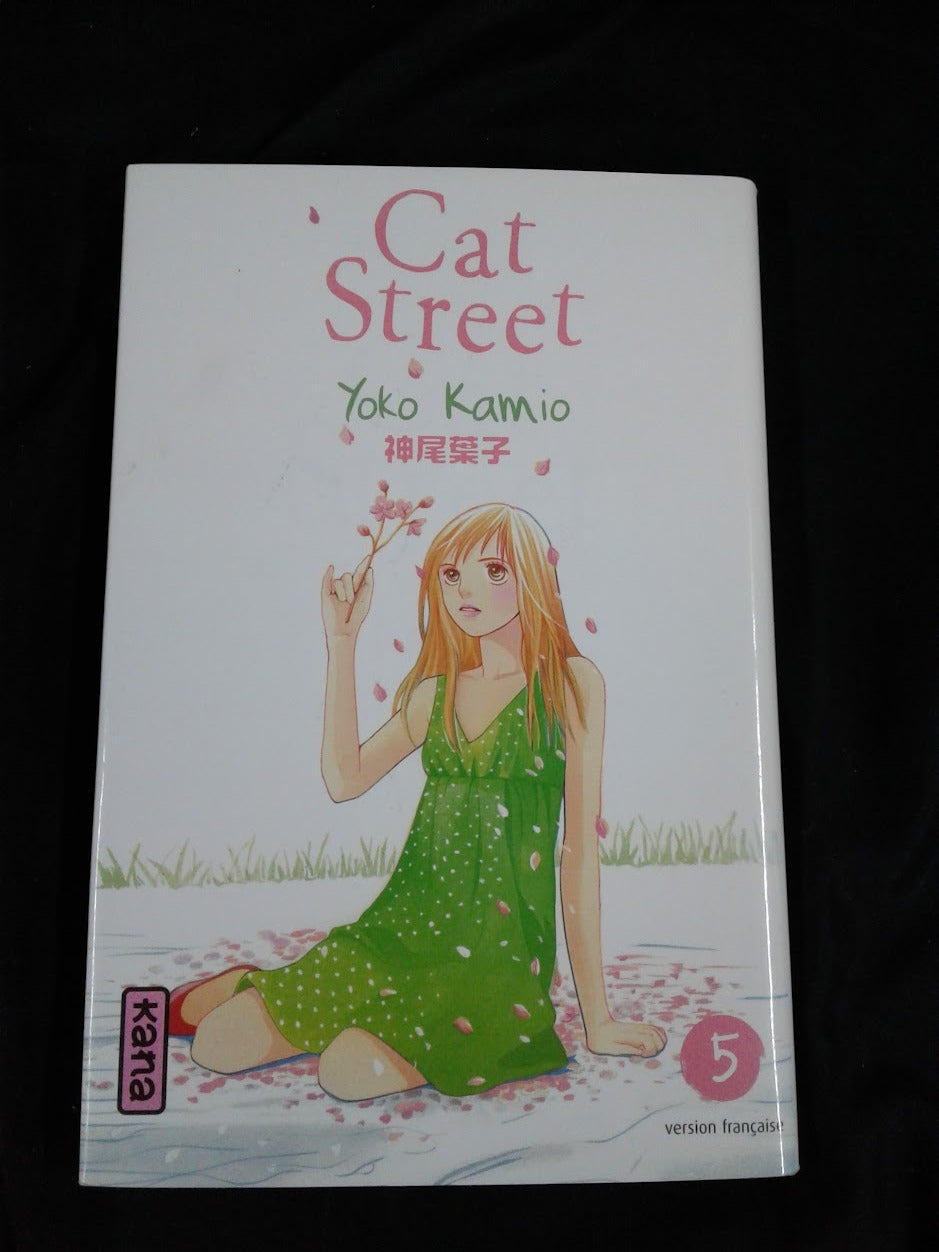 Manga Cat street 5
