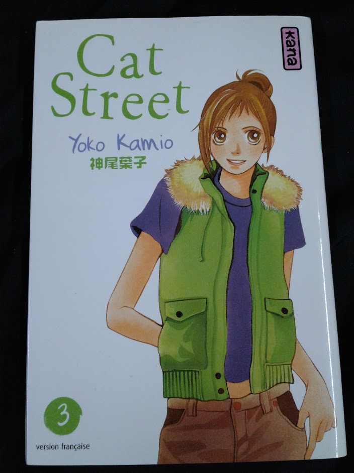 Manga Cat street 3