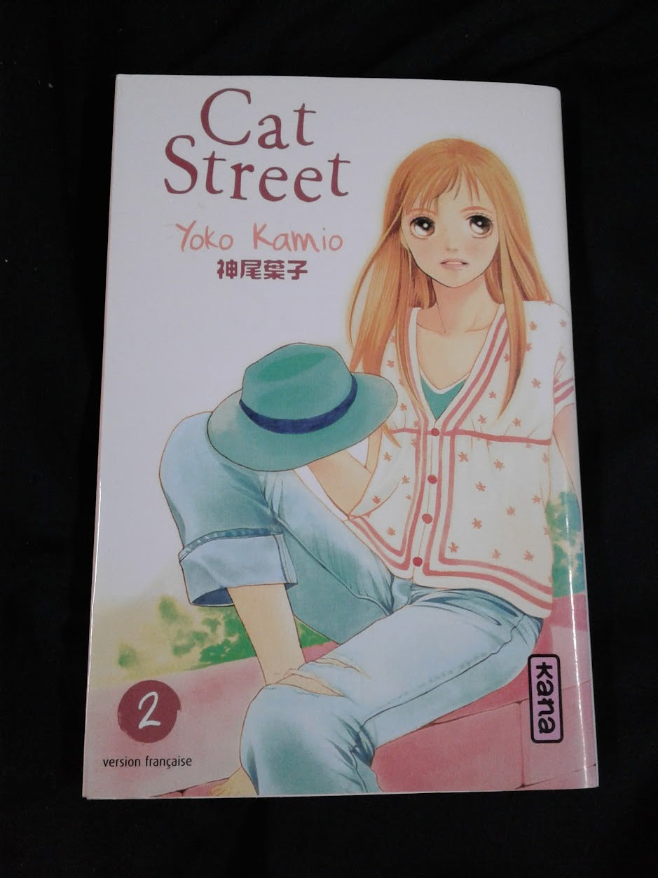 Manga Cat street 2