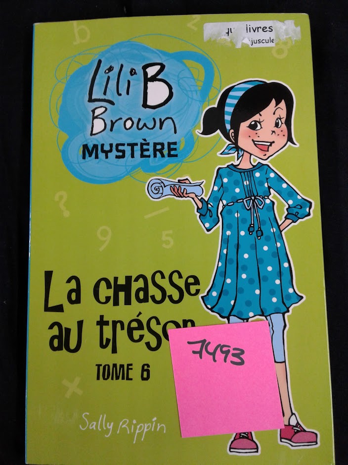 Lili B Brown mystère La chasse au trésor tome 6